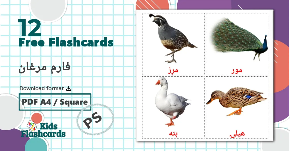 12 Farm birds bildekort