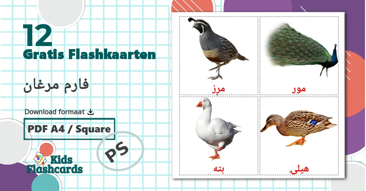 12 Getallen(1-20) Leerkaarten voor kinderen