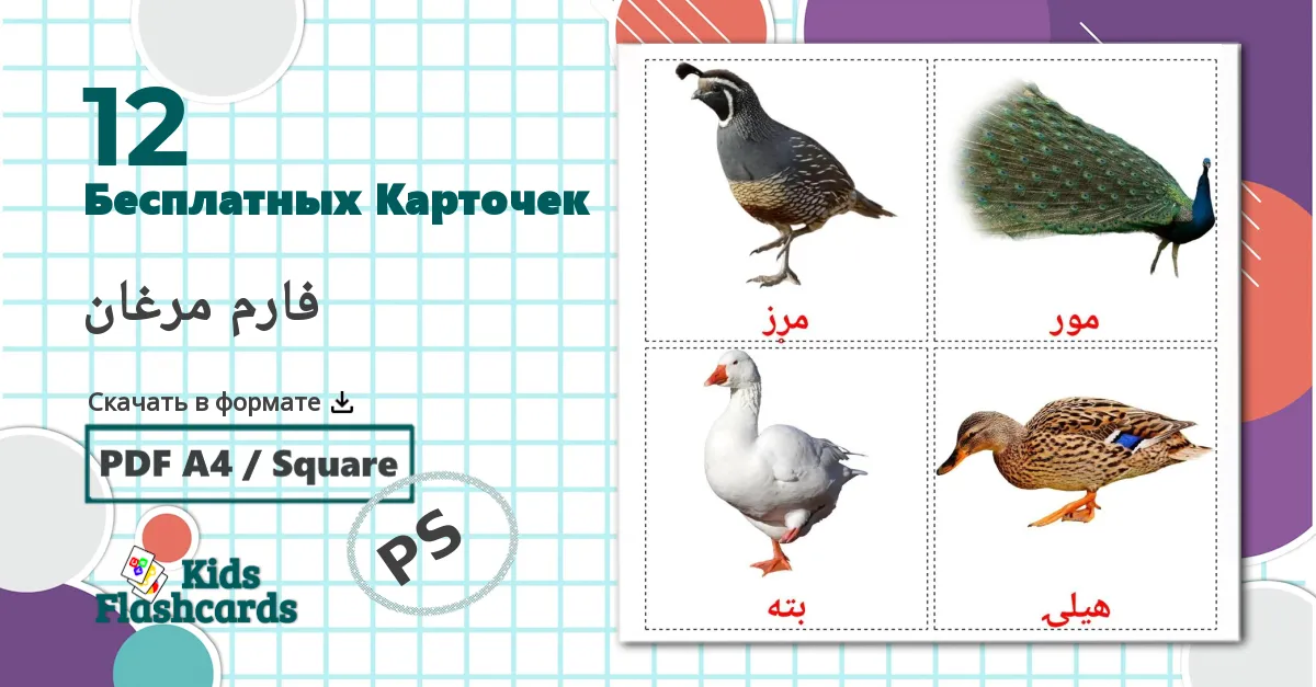 12 Карточки Домана Цифры (1-20)