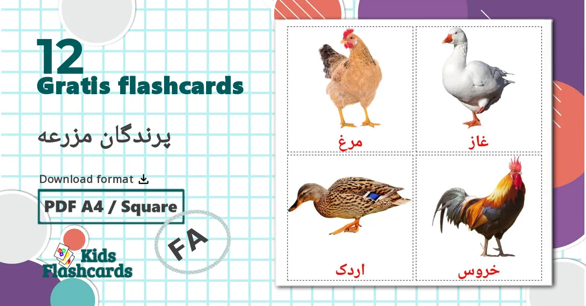 12 پرندگان مزرعه billedkort for børn
