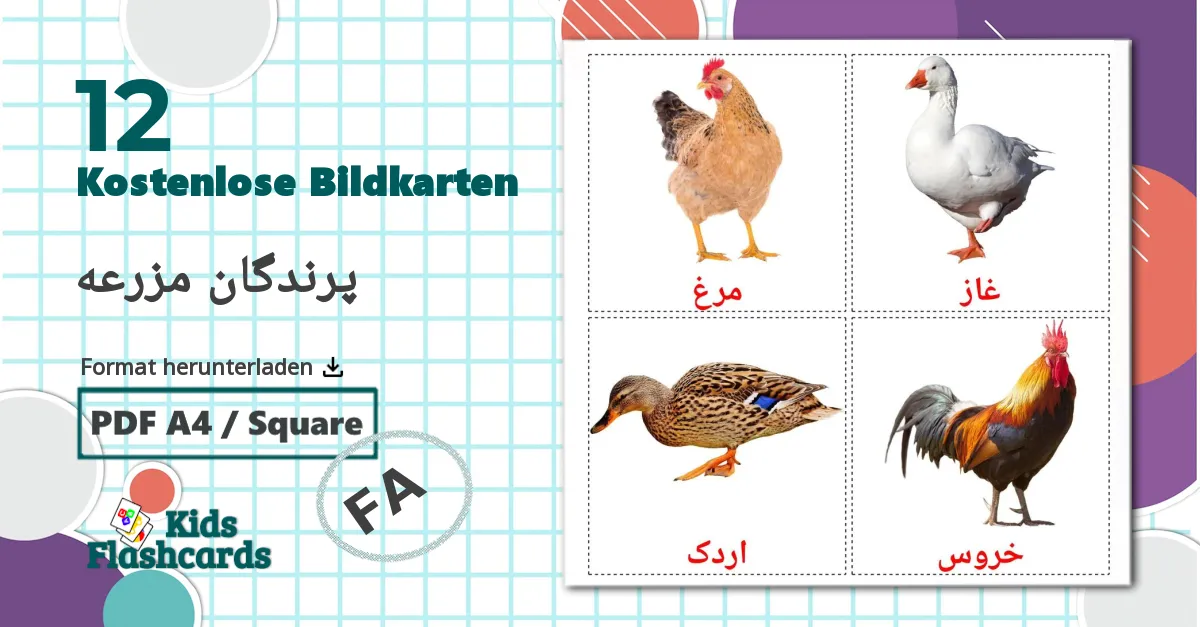 12 Bildkarten für پرندگان مزرعه