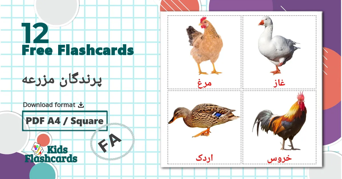 12 پرندگان مزرعه flashcards