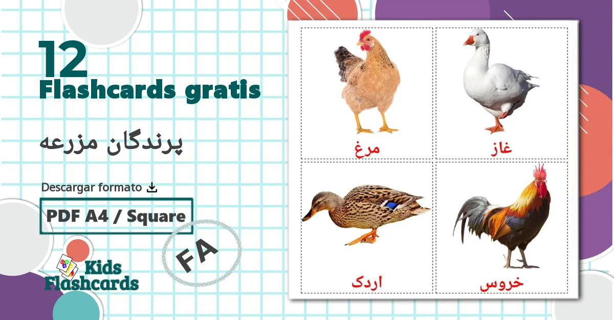 12 tarjetas didacticas de Aves de granja