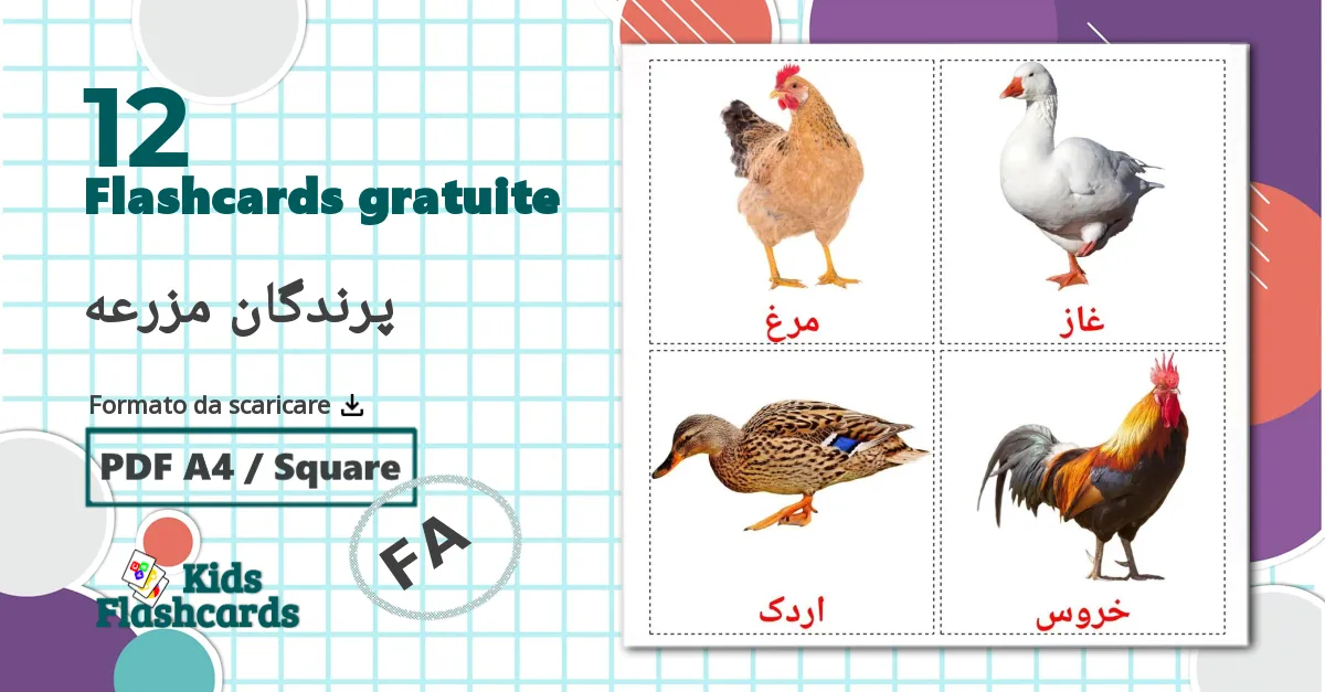 12 flashcards di پرندگان مزرعه