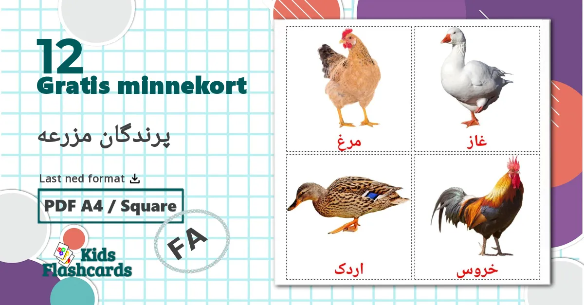12 پرندگان مزرعه bildekort