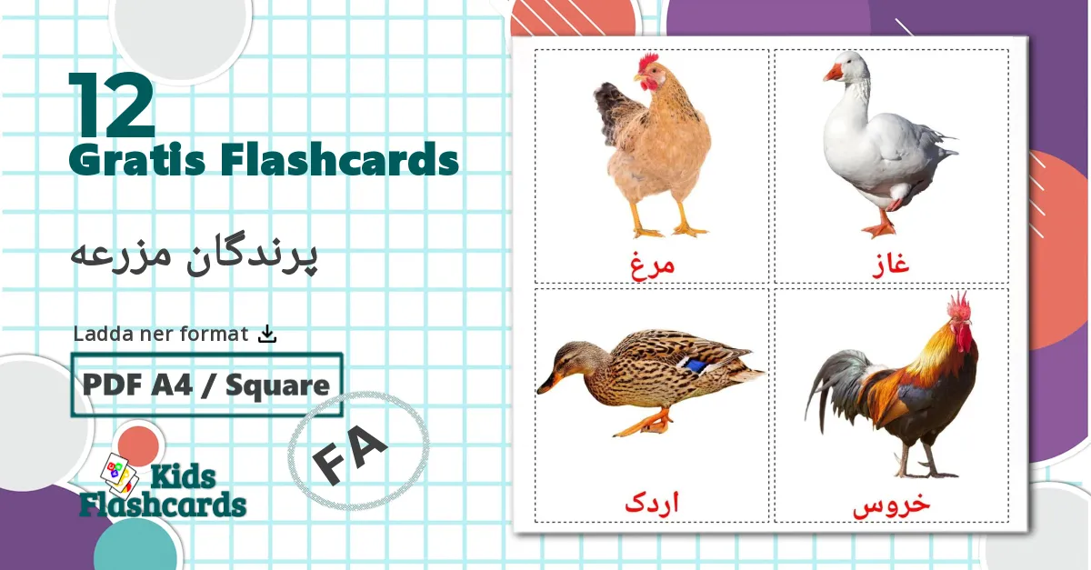 12 پرندگان مزرعه bildkort för barn