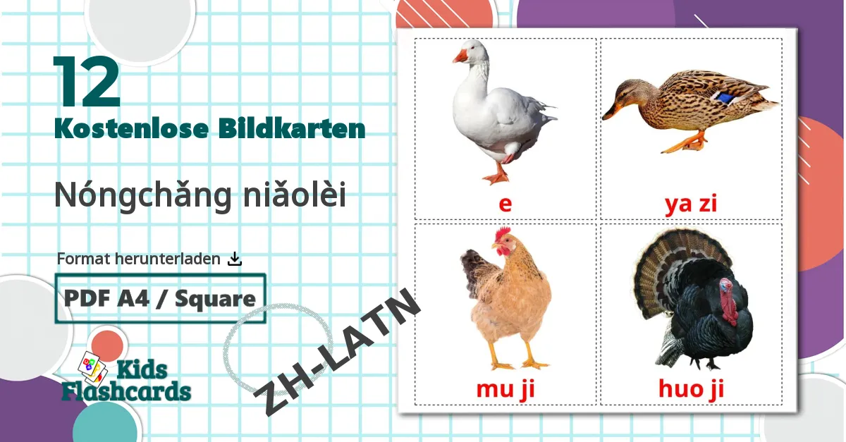 12 Bildkarten für Nóngchǎng niǎolèi