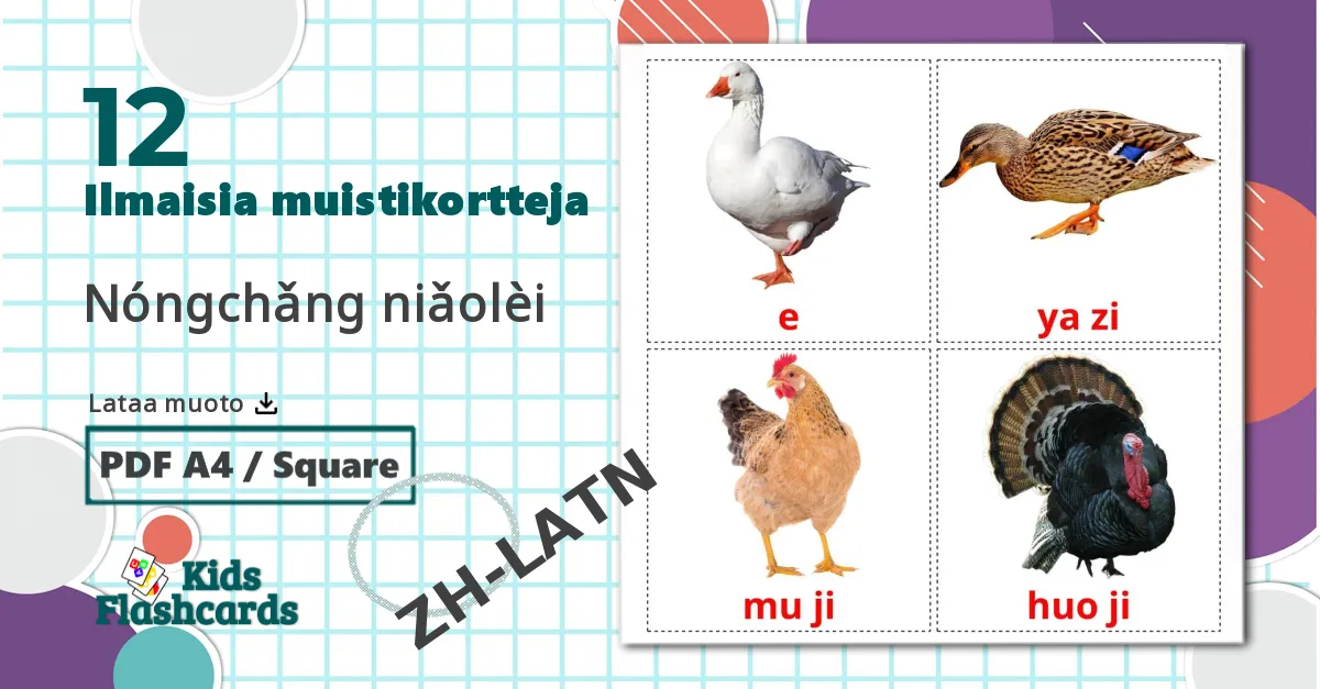 12 Nóngchǎng niǎolèi lasten kuvakortit