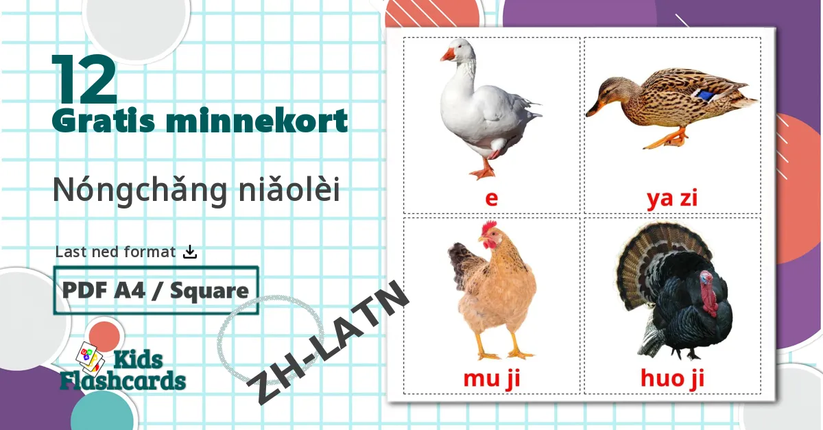 12 Nóngchǎng niǎolèi bildekort