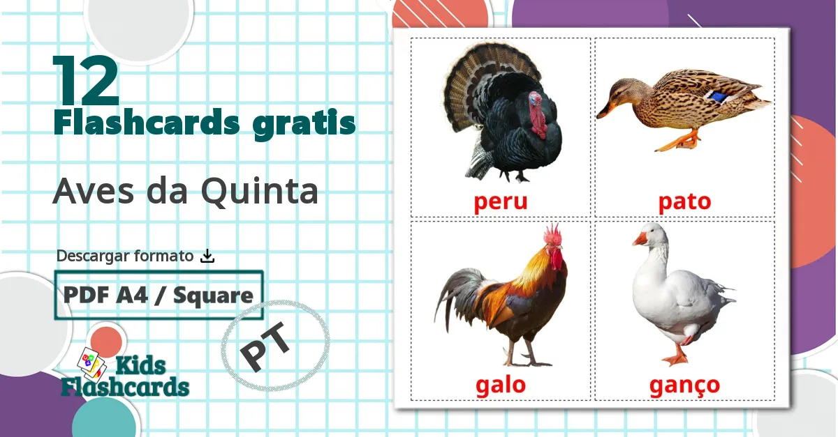 12 tarjetas didacticas de Aves da Quinta