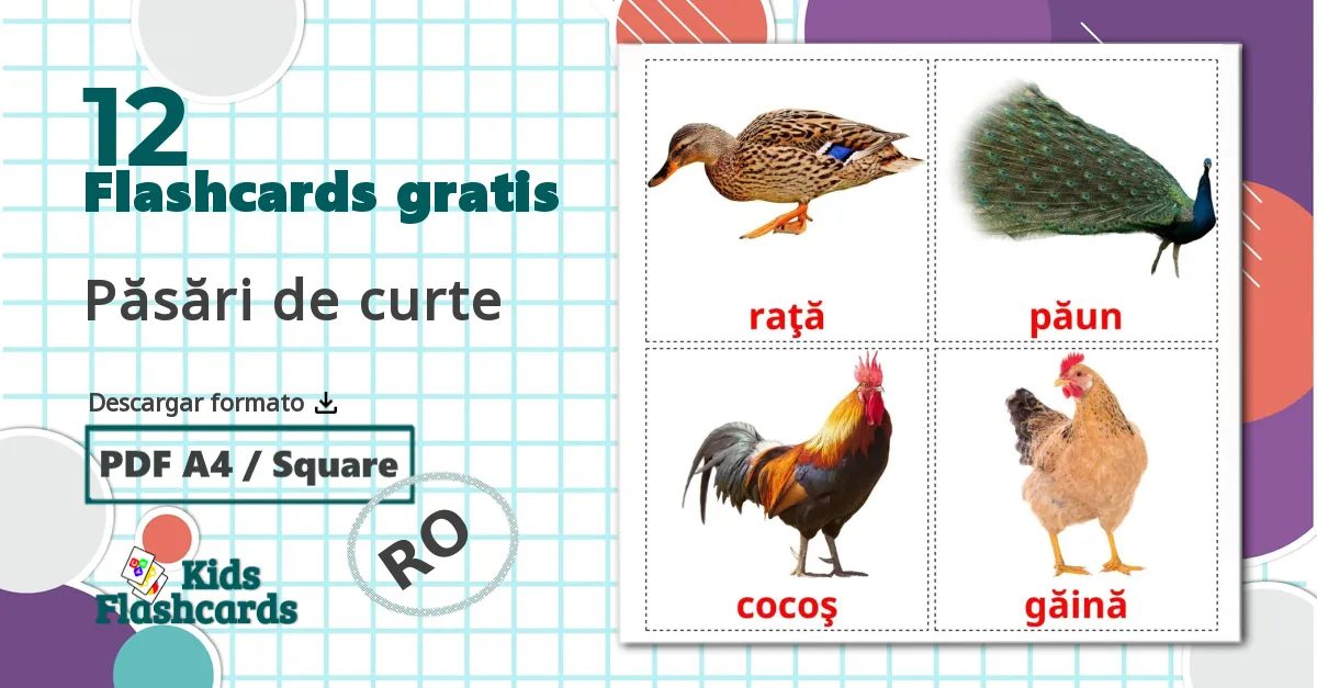 12 tarjetas didacticas de Păsări de curte