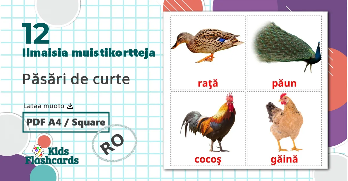 12 Păsări de curte  lasten kuvakortit