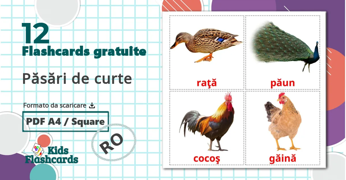 12 flashcards di Păsări de curte