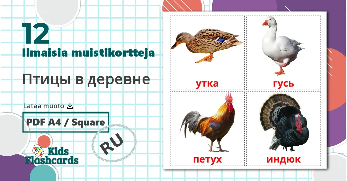 12 Птицы в деревне lasten kuvakortit