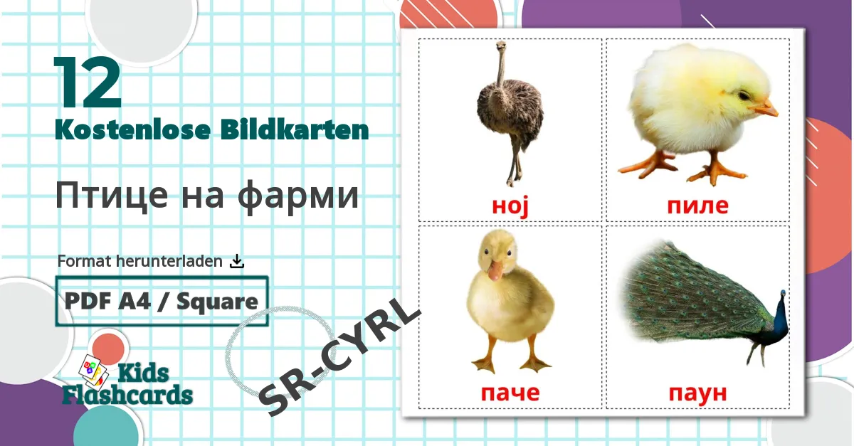 12 Bildkarten für Птице на фарми