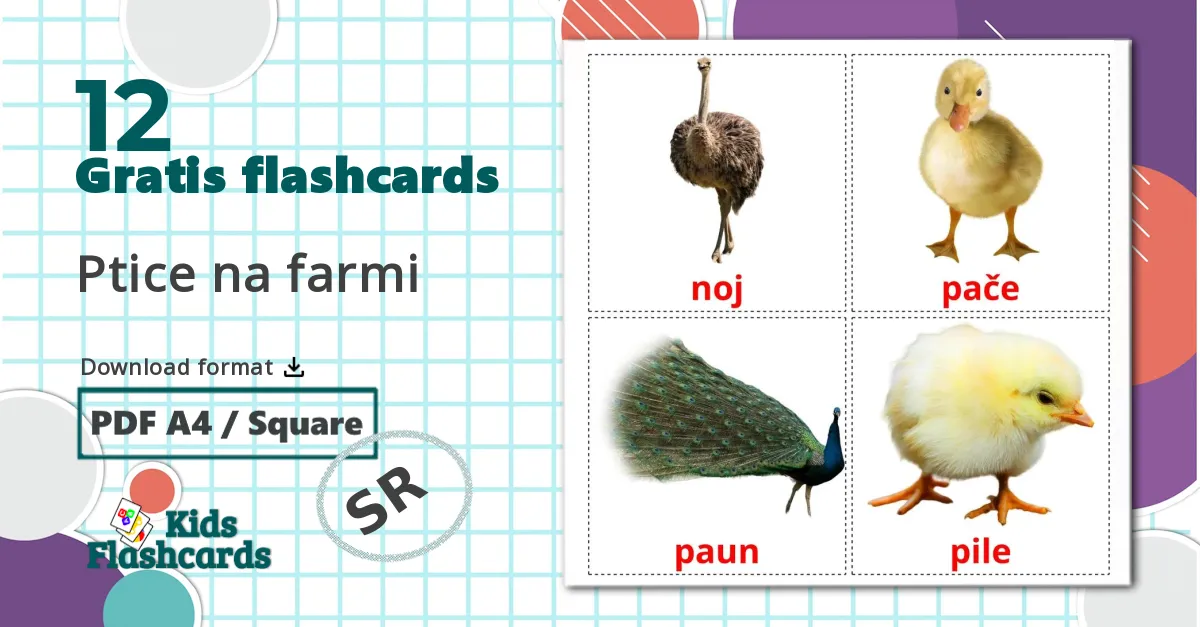 12 Ptice na farmi billedkort for børn