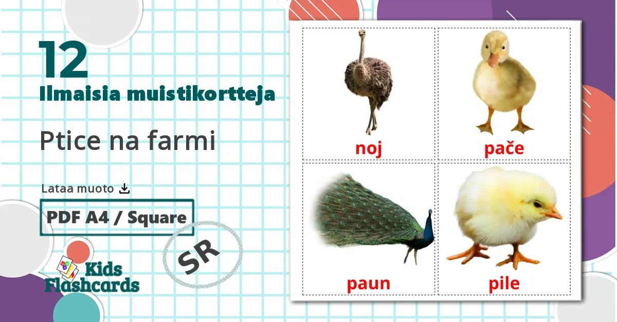 12 Ptice na farmi lasten kuvakortit