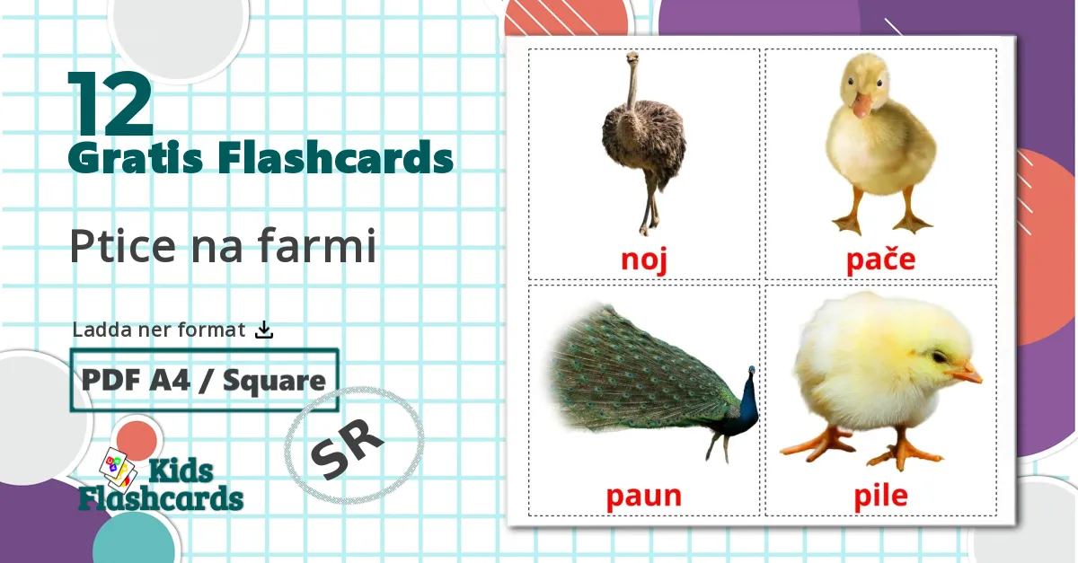 12 Ptice na farmi bildkort för barn
