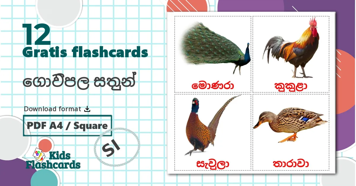 12 ගොවිපල සතුන් billedkort for børn