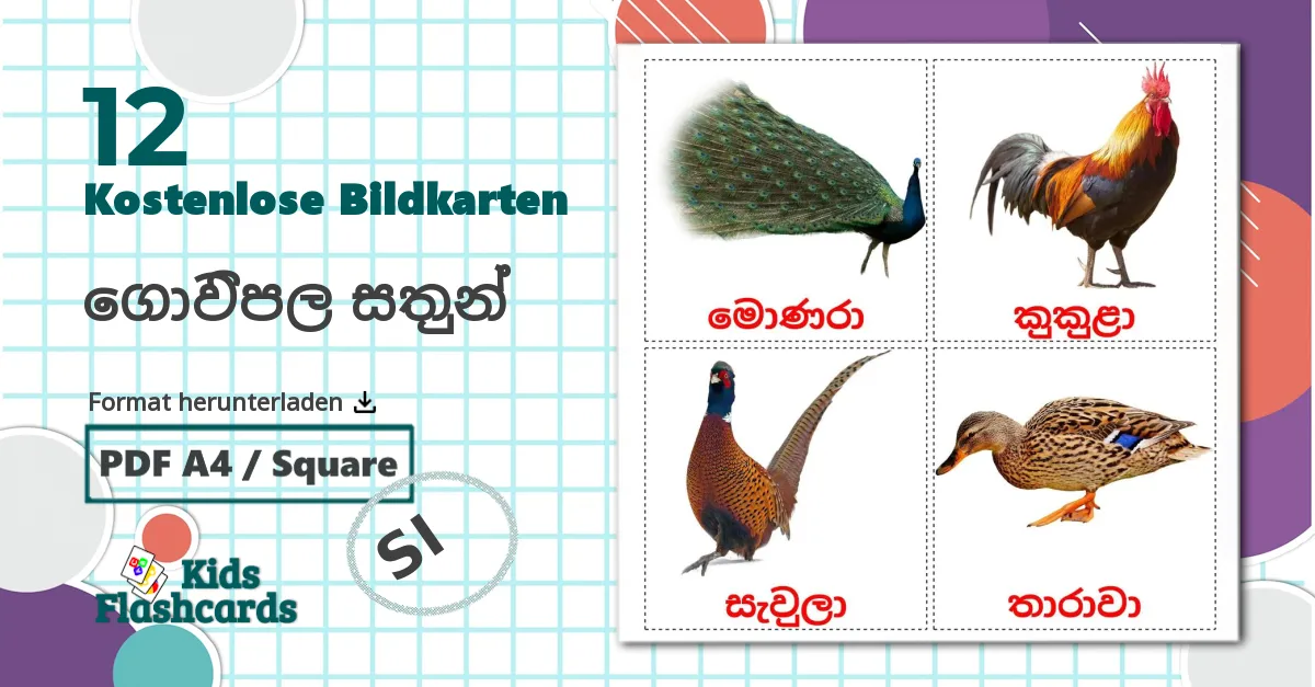 12 Bildkarten für ගොවිපල සතුන්