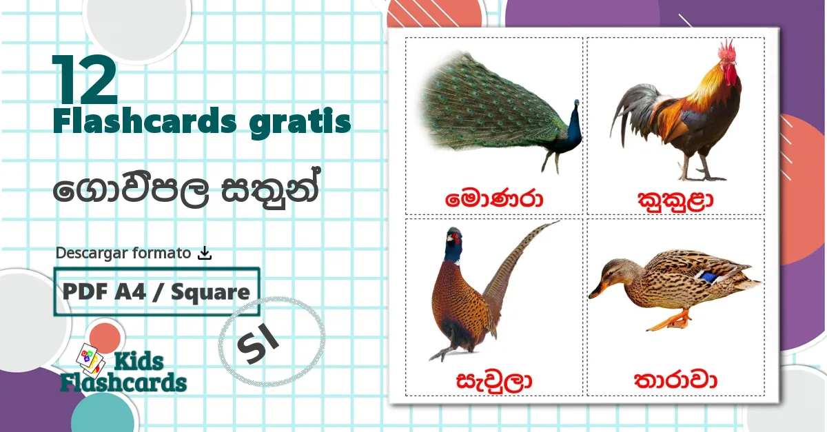 12 tarjetas didacticas de ගොවිපල සතුන්