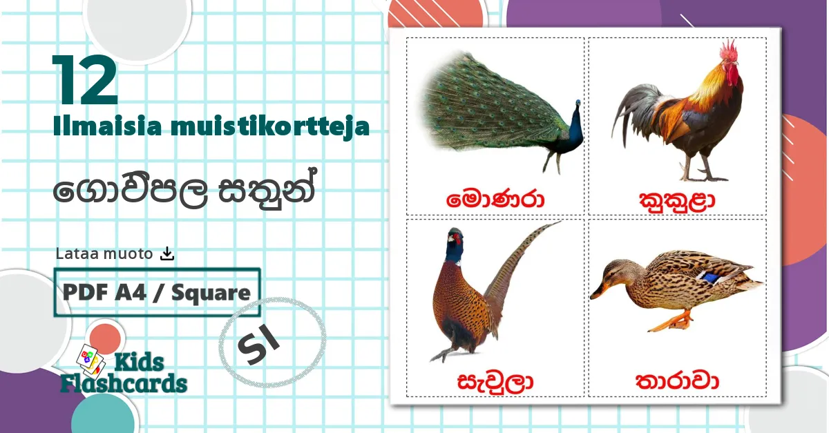 12 ගොවිපල සතුන් lasten kuvakortit