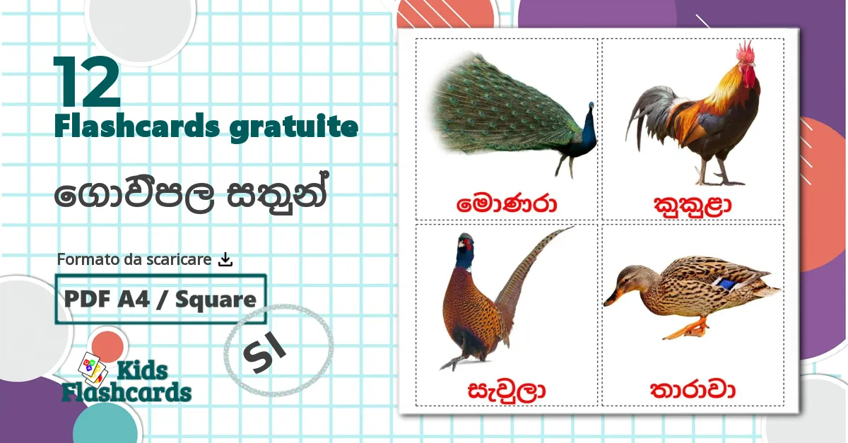 12 flashcards di ගොවිපල සතුන්