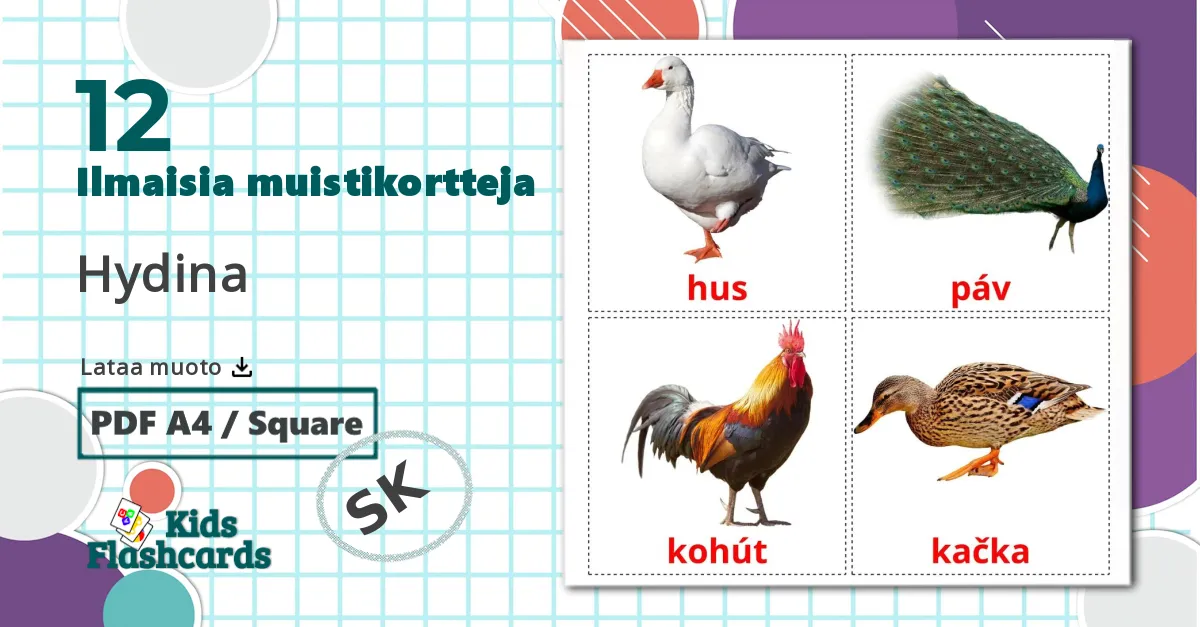12 Hydina lasten kuvakortit