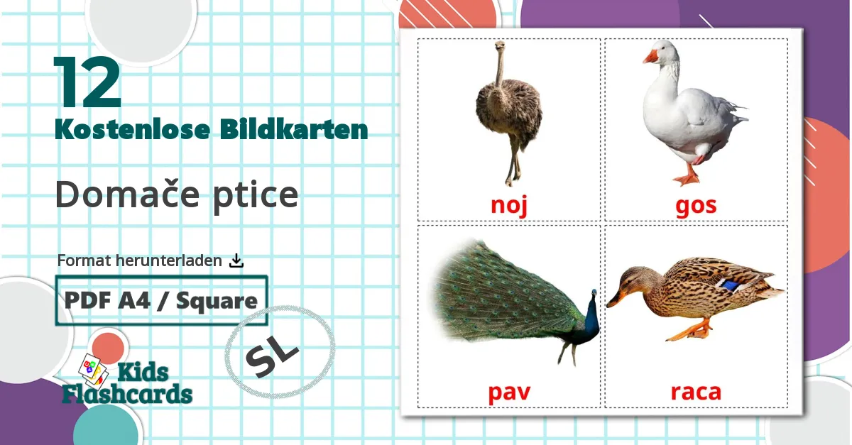 12 Bildkarten für Bauernhof Vögel