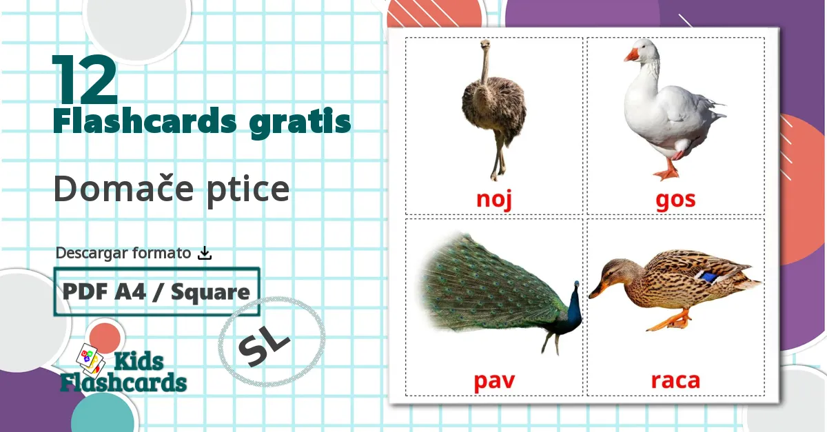 12 tarjetas didacticas de Aves de granja