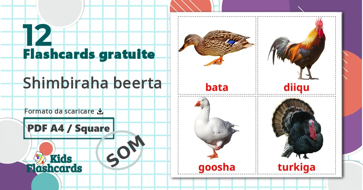 12 flashcards di Uccelli di fattoria