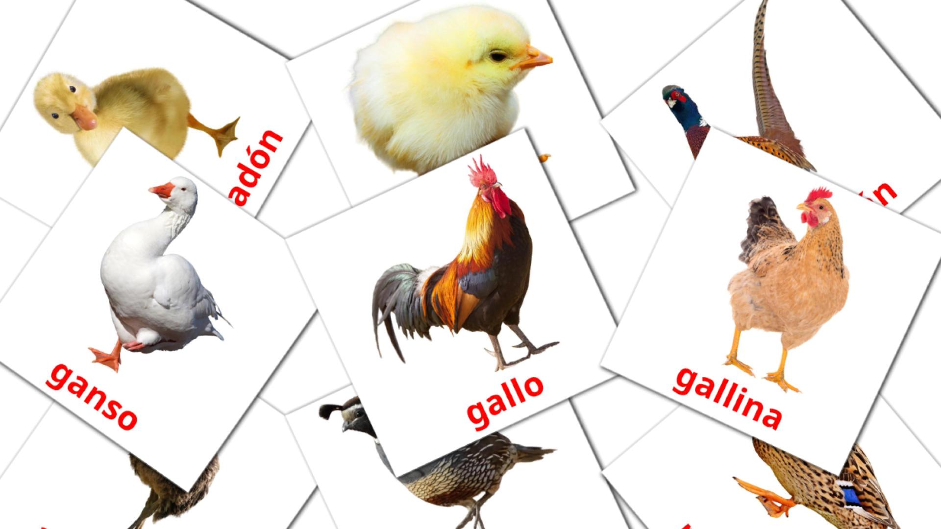 11 Bildkarten für Aves de granja