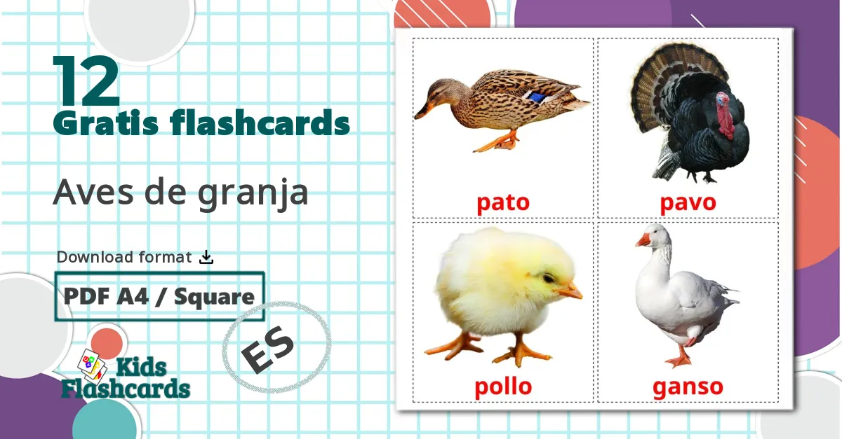 12 Aves de granja billedkort for børn