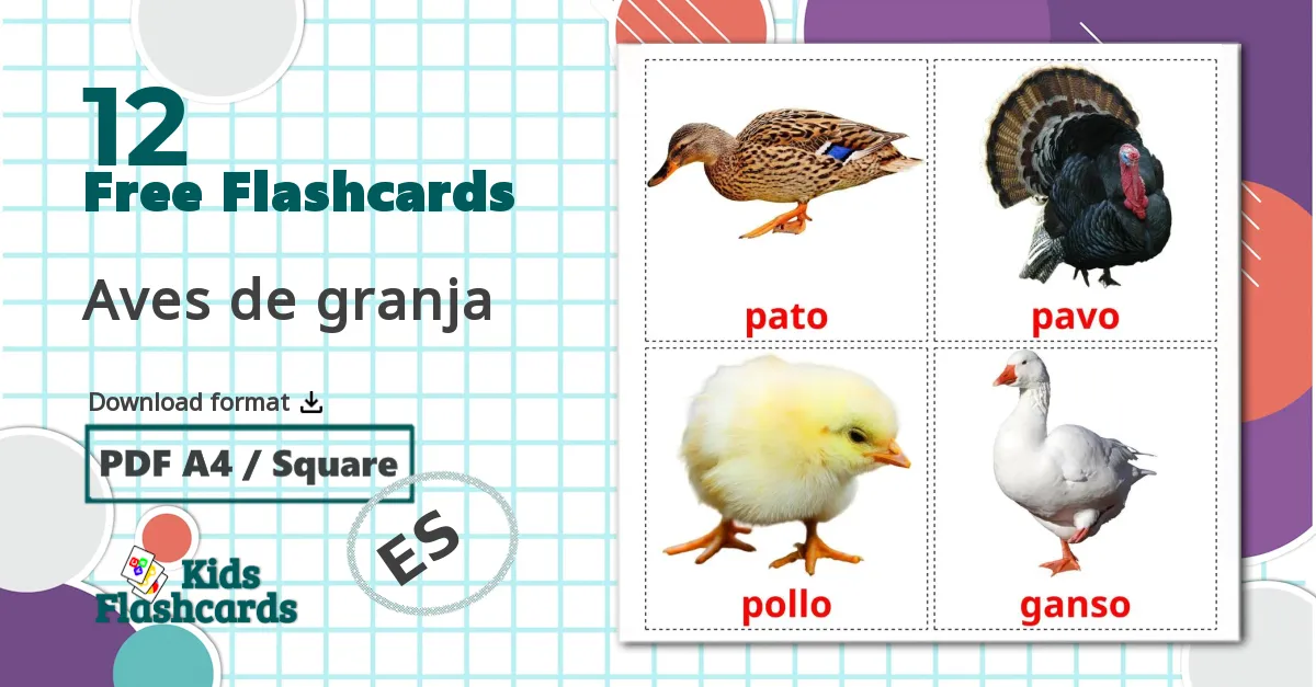 12 Aves de granja flashcards