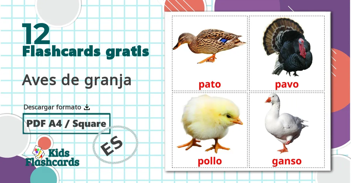 12 tarjetas didacticas de Aves de granja