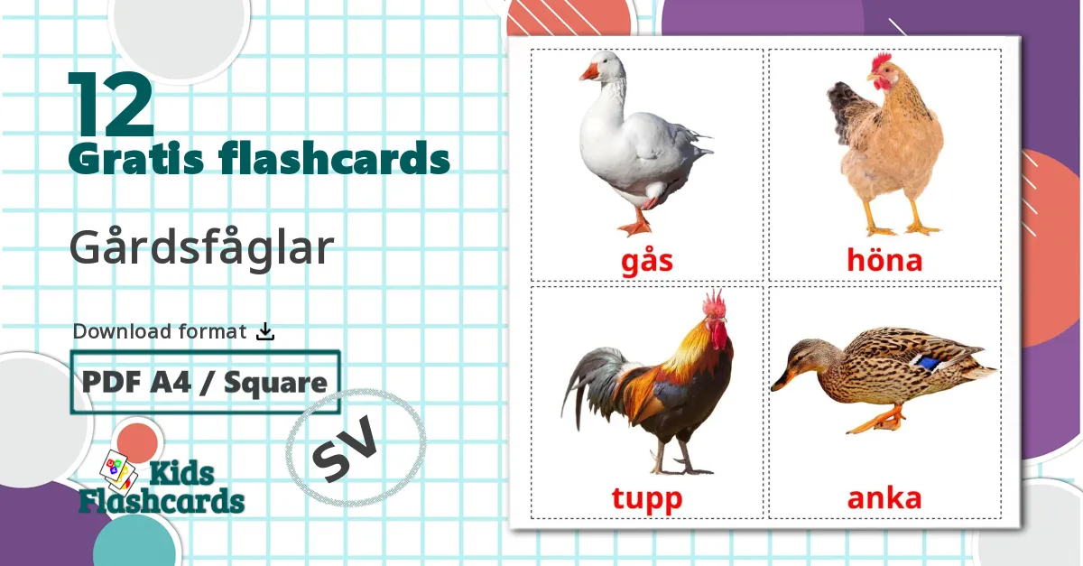 12 Gårdsfåglar billedkort for børn