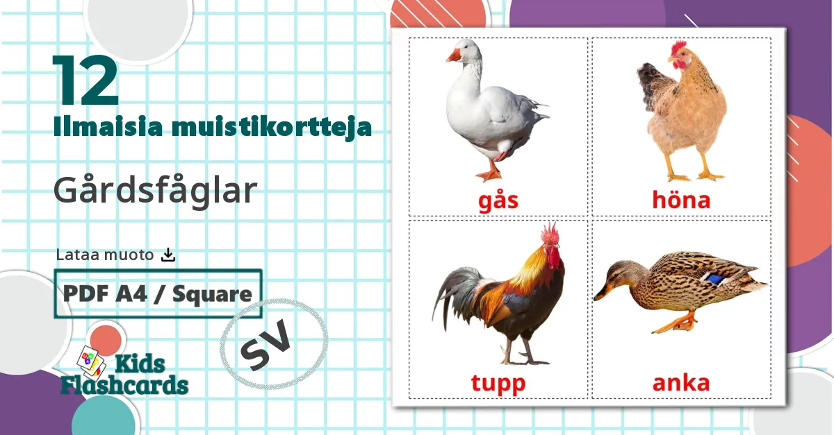 12 Gårdsfåglar lasten kuvakortit