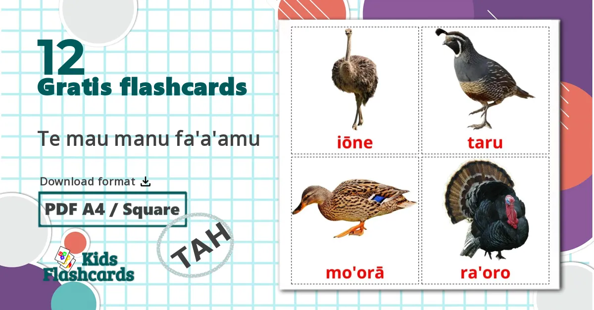 12 Te mau manu fa'a'amu billedkort for børn