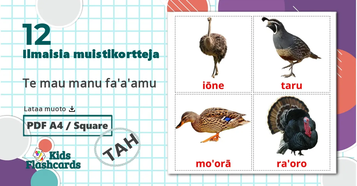 12 Te mau manu fa'a'amu lasten kuvakortit