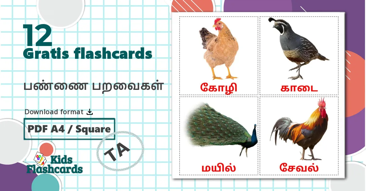 12 பண்ணை பறவைகள் billedkort for børn