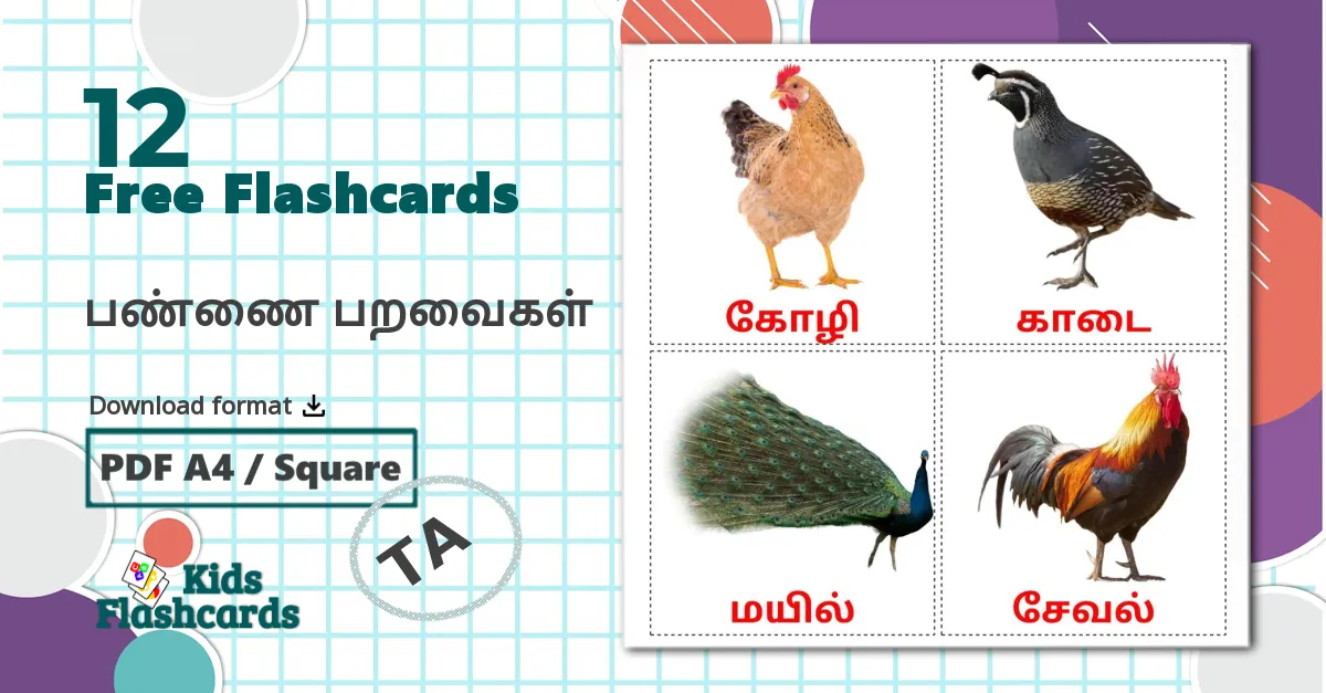 12 Farm birds flashcards