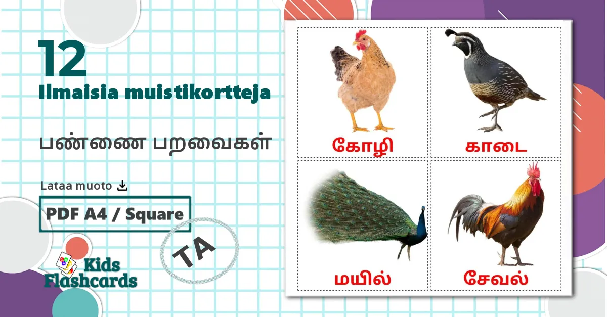 12 பண்ணை பறவைகள் lasten kuvakortit