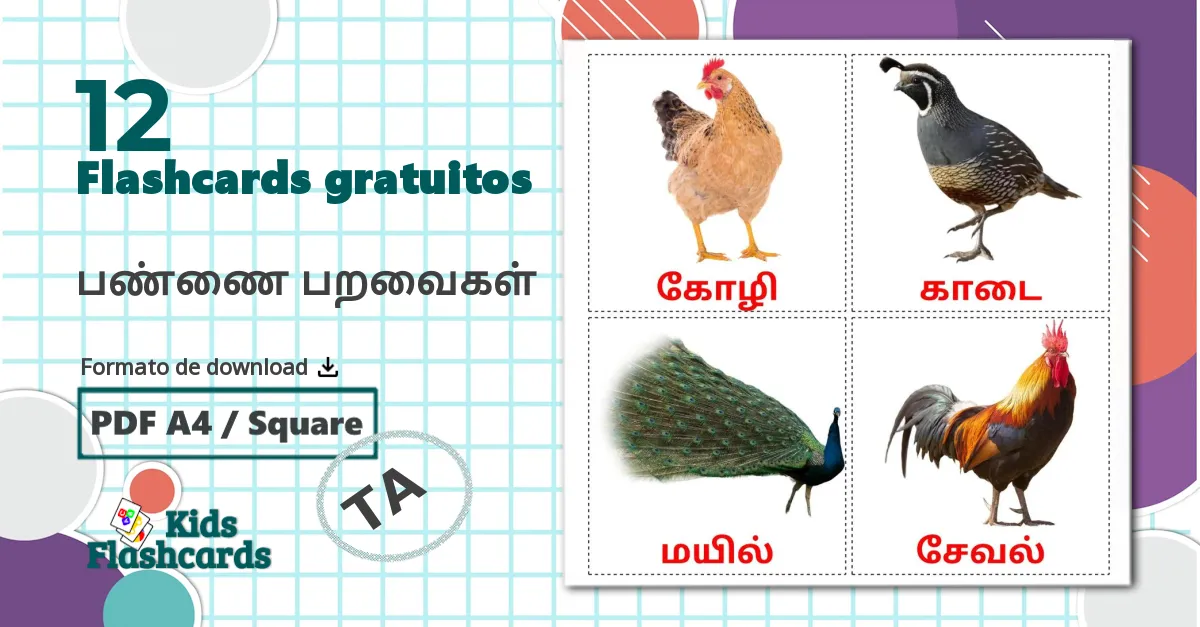 12 Flashcards de Aves da Quinta