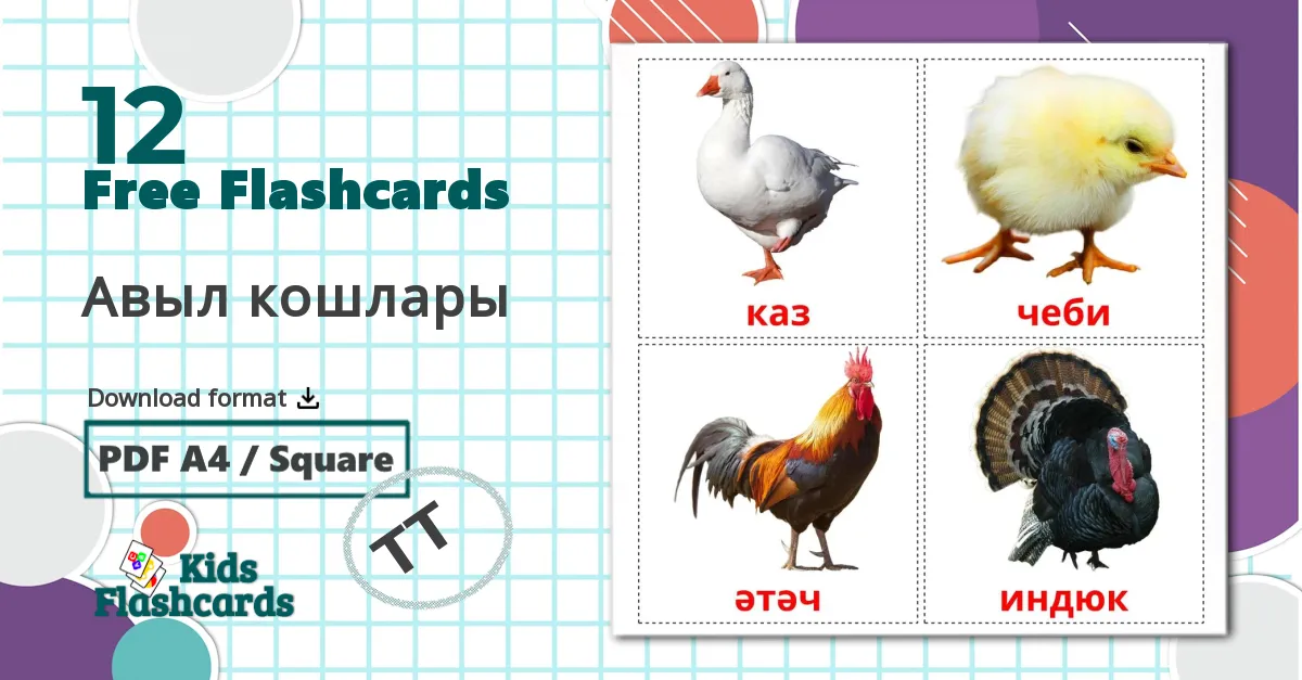 12 Авыл кошлары flashcards