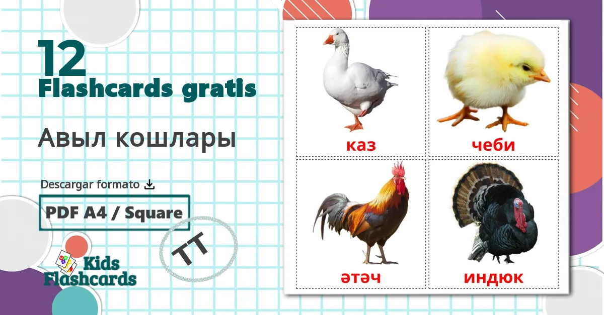 12 tarjetas didacticas de Aves de granja