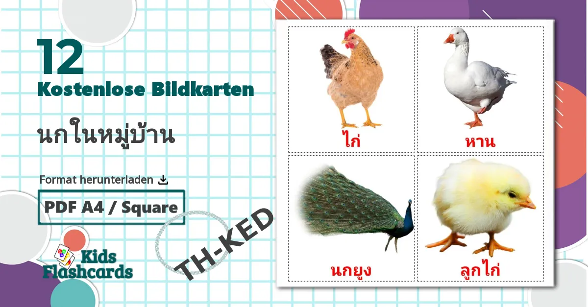 12 Bildkarten für Bauernhof Vögel