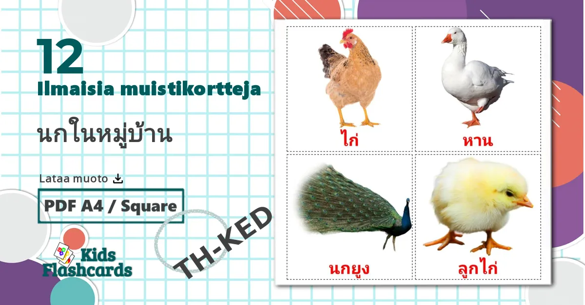 12 นกในหมู่บ้าน lasten kuvakortit