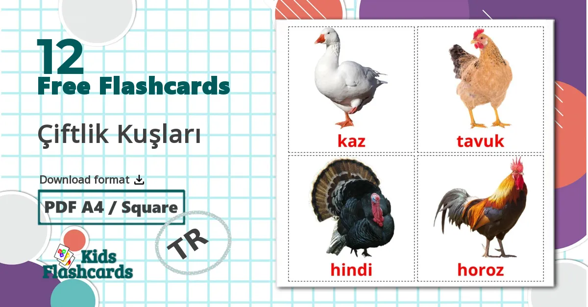 12 Farm birds flashcards