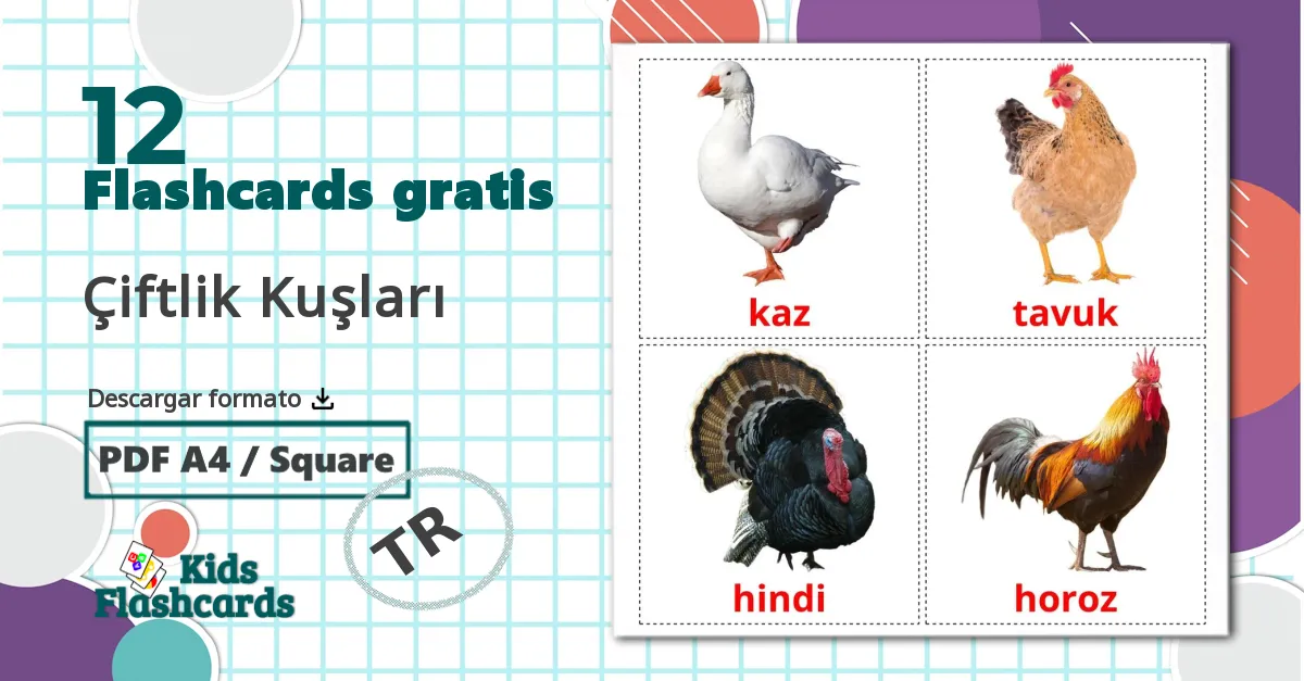 12 tarjetas didacticas de Aves de granja