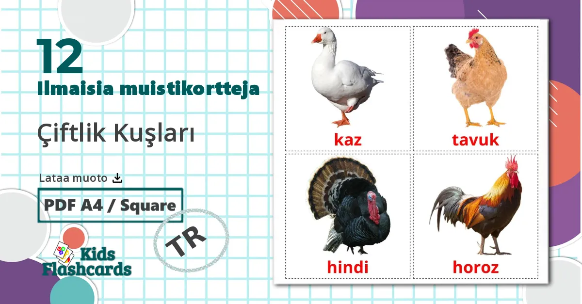 12 Çiftlik Kuşları  lasten kuvakortit